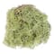 Basil Green Spanish Moss by Ashland®